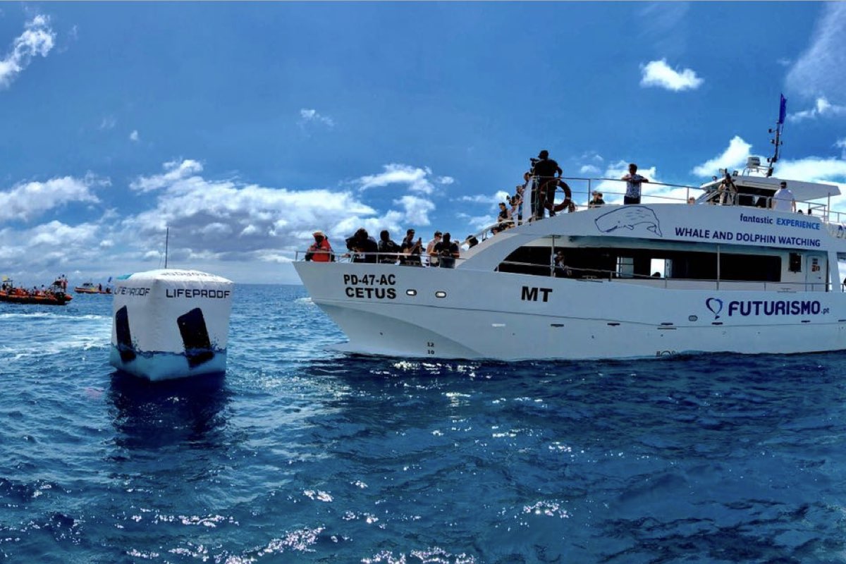 cliff diving adventure in the Azores