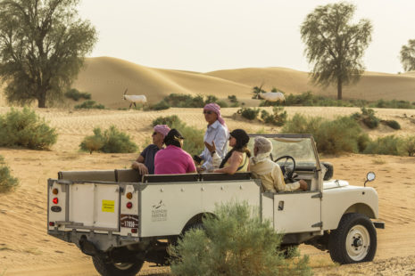Wildlife Safari in vintage Land Rover Dubai