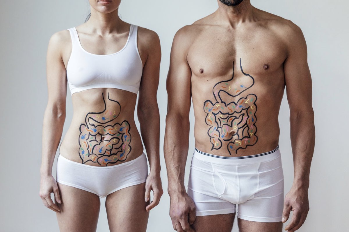 gut health - probiotics, prebiotics and postbiotics