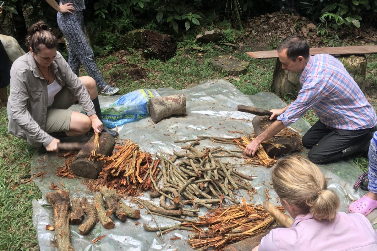 What happens in an Ayahuasca ceremony