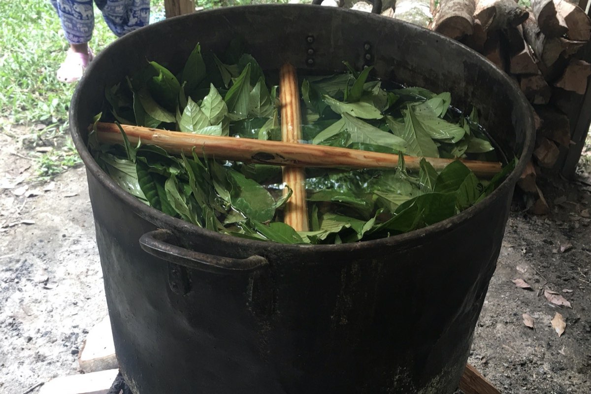 What happens in an Ayahuasca ceremony