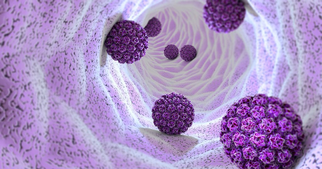 Human papillomavirus infection. Virus. HPV is the most common sexually transmitted infection globally. HPV infection is caused by human papillomavirus, a DNA virus from the papillomavirus family, 3d rendering