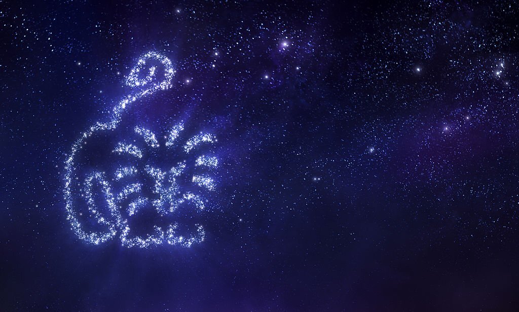 Lion zodiac sign on space background