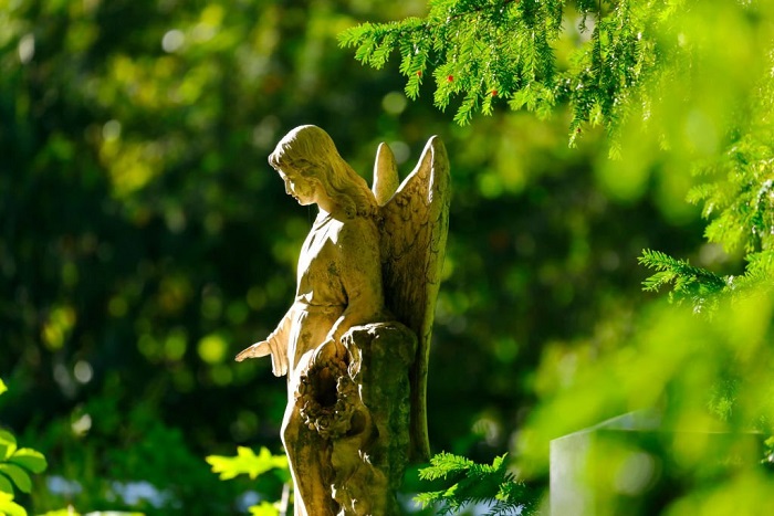 Weathered old angel statue in a cemetery