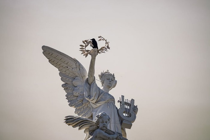 A raven on the laurels of the Zurich opera house's top ornaments