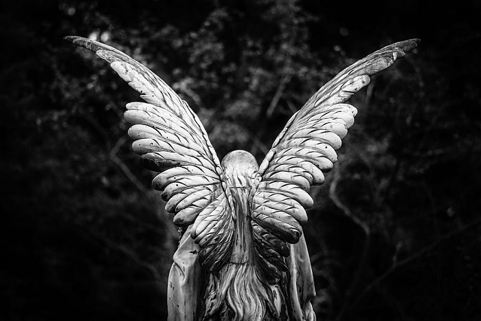 Winged angel gravestone back view in black and white