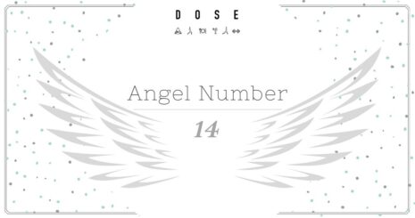 Angel Number 14