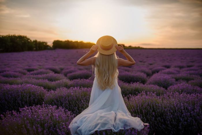 Claire in a white dress and a hat is walking in the lavender field