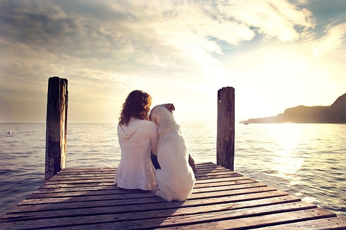 Dog rests gently on his master's shoulder while looking the view