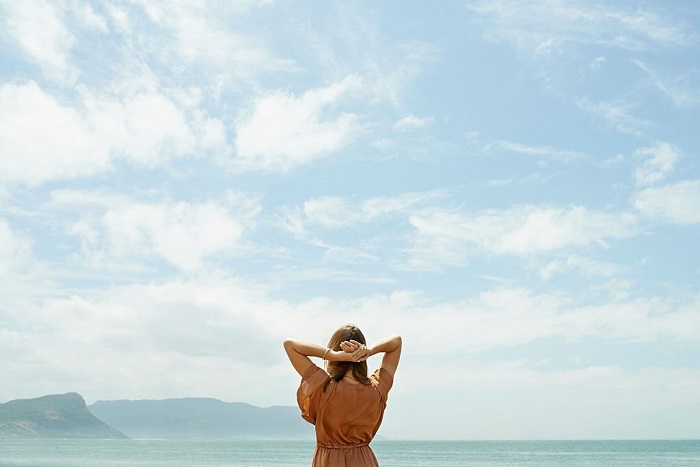 Rearview shot of a Remy looking out at the ocean with sky above