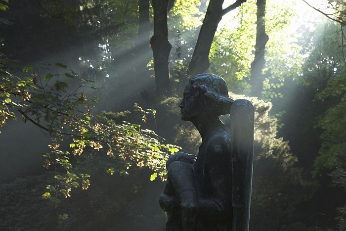 Statue of on angel in mystical autumn light