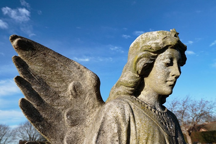 A stone angel's solemn regard in a cemetery