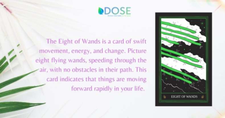 The Eight of Wands Tarot Card