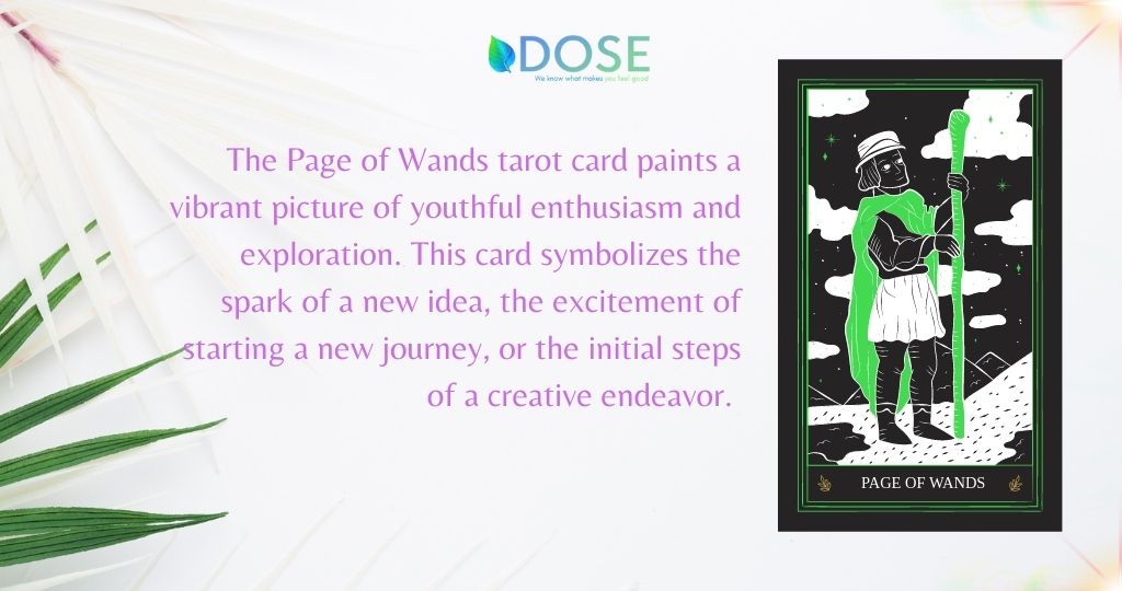 The Page of Wands Tarot Card
