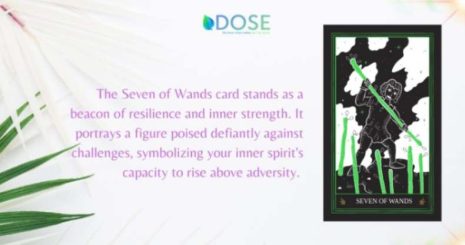 The Seven of Wands Tarot Card