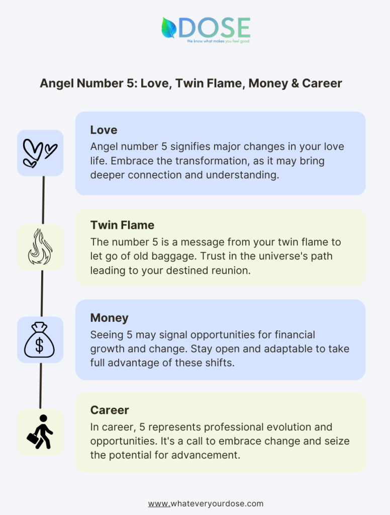 Infographic on Angel number 5