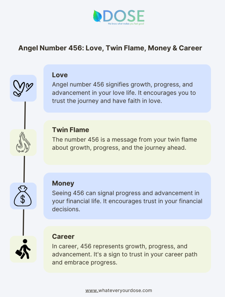 456 twin flame