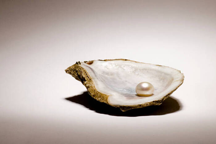 Source: Istockphoto. Pearl.