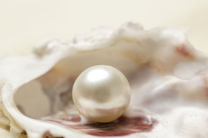 Source: Istockphoto. June Birthstone Pearl